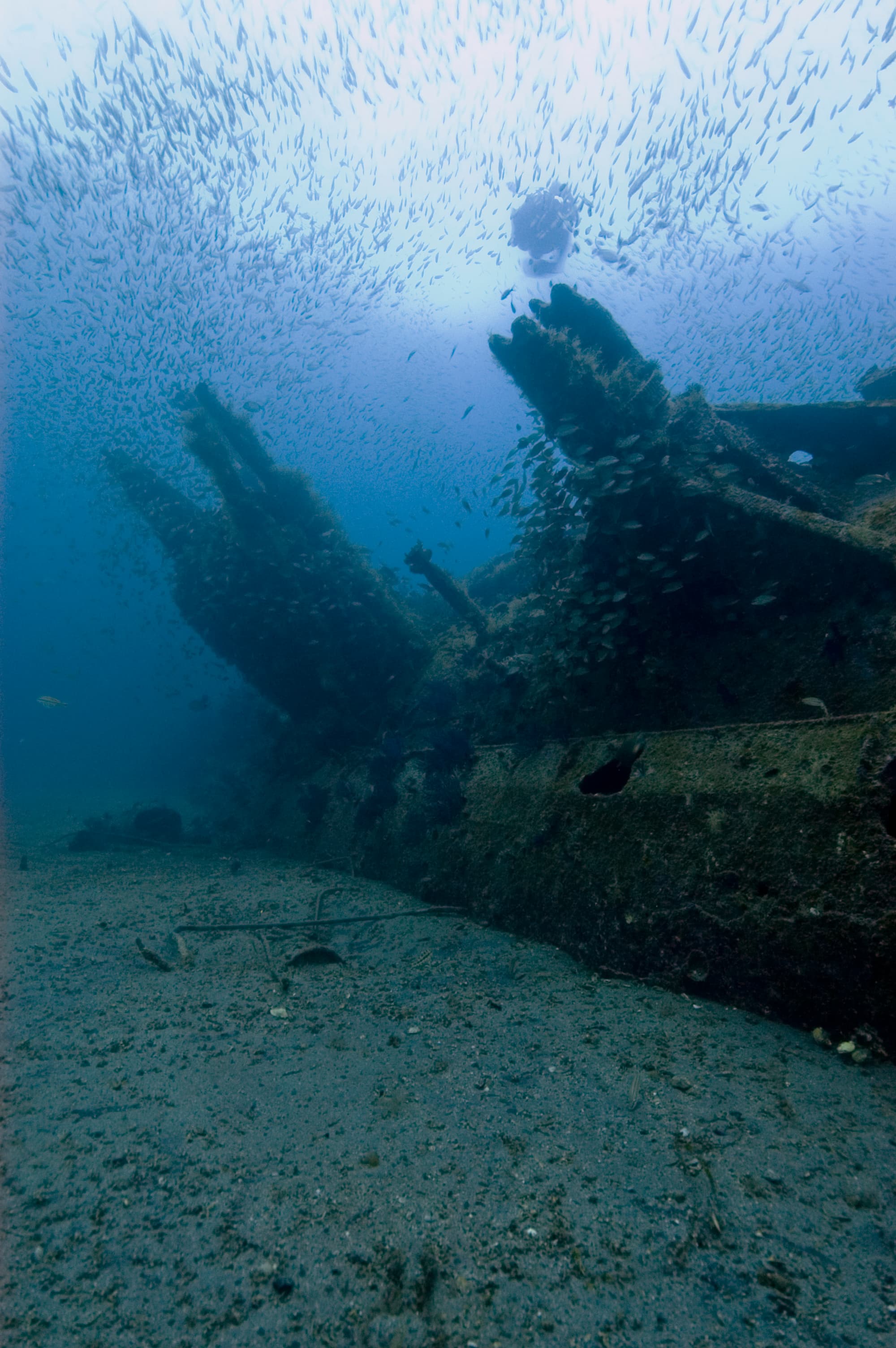 A diver beside the wreck of German submarine U-352 off North Carolina.